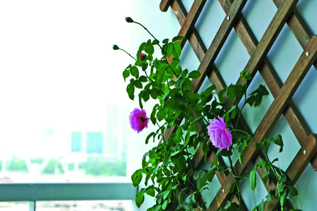 Minimalistické květinové závěsy: Trend letošního roku pro malé balkóny 